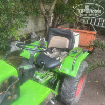 фото из отзыва ID 2743142