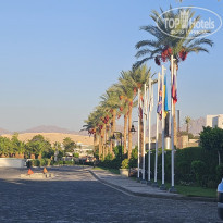 фото из отзыва ID 2743143