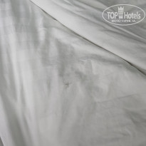 фото из отзыва ID 2743153