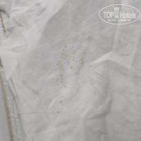 фото из отзыва ID 2743153