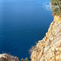 фото из отзыва ID 2742988