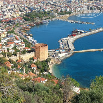 фото из отзыва ID 2742988