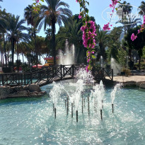 фото из отзыва ID 2742988