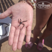 фото из отзыва ID 2743155