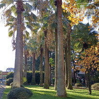 фото из отзыва ID 2743167