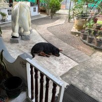 фото из отзыва ID 2743171