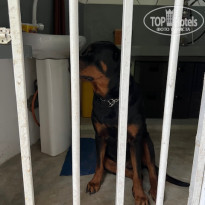 фото из отзыва ID 2743171