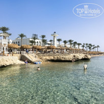 фото из отзыва ID 2743191