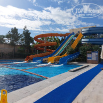 фото из отзыва ID 2743192