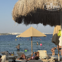 фото из отзыва ID 2743209