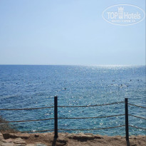 фото из отзыва ID 2743221