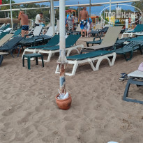 фото из отзыва ID 2743223