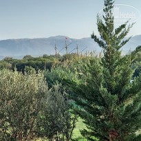 фото из отзыва ID 2743224