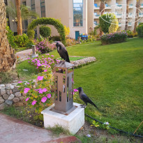 фото из отзыва ID 2743255