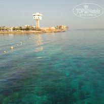 фото из отзыва ID 2743255