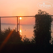 фото из отзыва ID 2743255