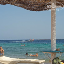 фото из отзыва ID 2743255