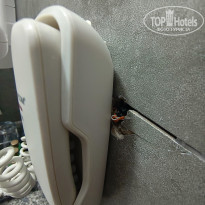 фото из отзыва ID 2743287