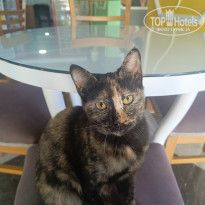 фото из отзыва ID 2743287