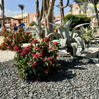 фото из отзыва ID 2743299