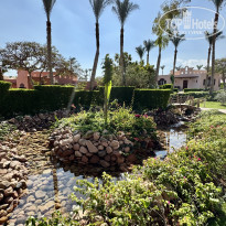 фото из отзыва ID 2743299