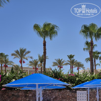 фото из отзыва ID 2743338