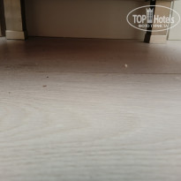 фото из отзыва ID 2742317