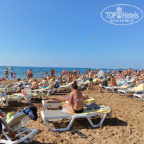 фото из отзыва ID 2742317