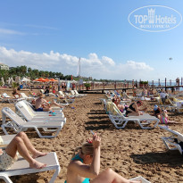 фото из отзыва ID 2742317