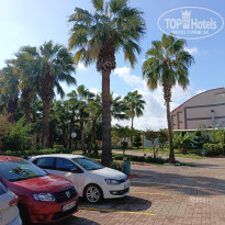 фото из отзыва ID 2742317