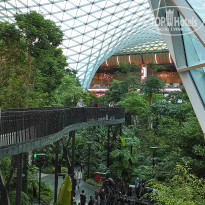 фото из отзыва ID 2743359