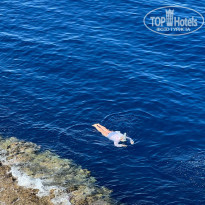 фото из отзыва ID 2743362