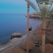 фото из отзыва ID 2743362