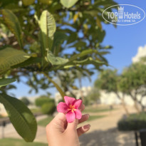 фото из отзыва ID 2743370