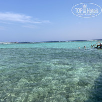 фото из отзыва ID 2743374