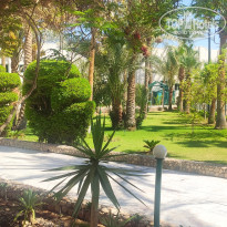 фото из отзыва ID 2743401