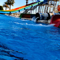 фото из отзыва ID 2743410