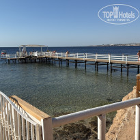 фото из отзыва ID 2743421