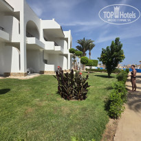 фото из отзыва ID 2743440