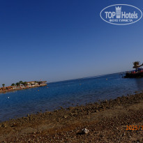 фото из отзыва ID 2743440