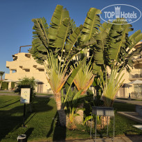 фото из отзыва ID 2743450