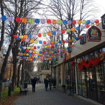 фото из отзыва ID 2743452