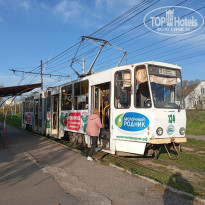 фото из отзыва ID 2743452