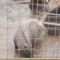 фото из отзыва ID 2743442