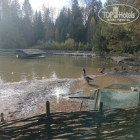 фото из отзыва ID 2743442