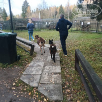 фото из отзыва ID 2743442