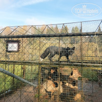 фото из отзыва ID 2743442