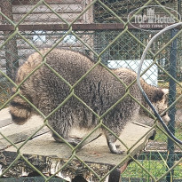 фото из отзыва ID 2743442