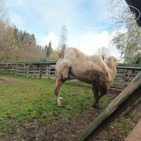 фото из отзыва ID 2743442