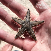 фото из отзыва ID 2743494